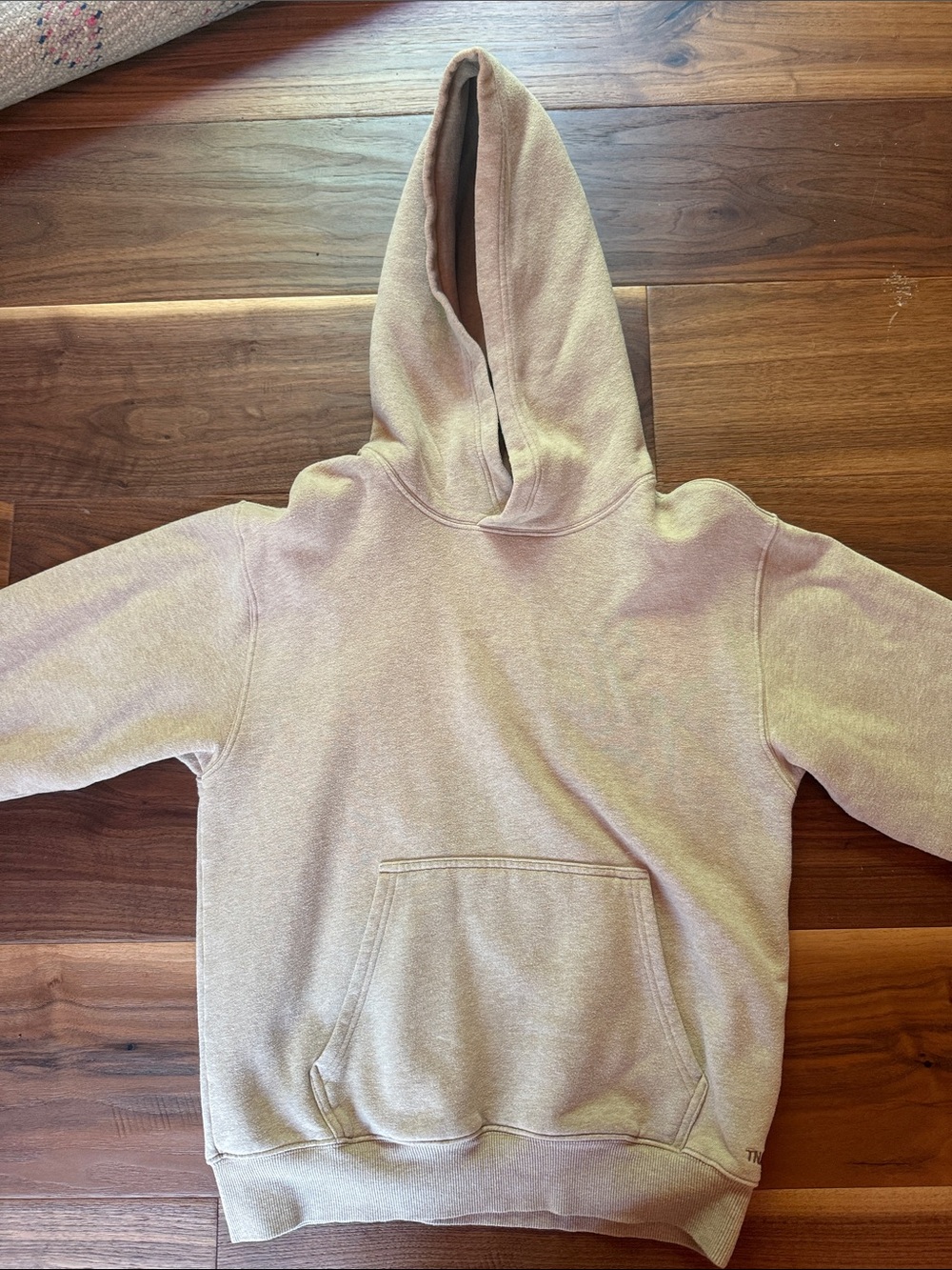 Aritzia boyfriend  Pullover Hoodie in Light Beige